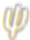 Psychoinformatics